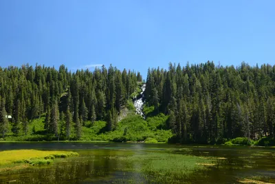 DSC_0038 (Large).JPG